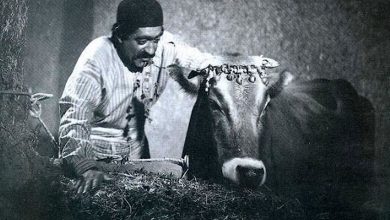 داریوش مهرجویی