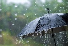 بارش باران در اقصی نقاط کشور و در برخی نقاط وقوع رعد و برق
