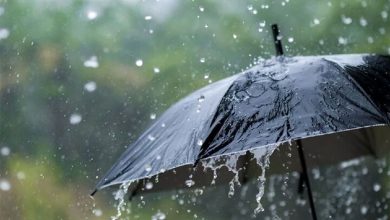 بارش باران در اقصی نقاط کشور و در برخی نقاط وقوع رعد و برق