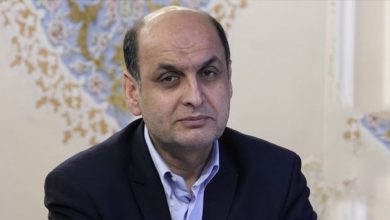 هادی حق شناس ، نماینده پیشین مجلس:اگر مردم بیایند، رییس جمهور آینده پزشکیان خواهد بود