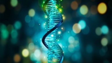 دانشمندان ایرانی کیت انتقال ژن ساختند