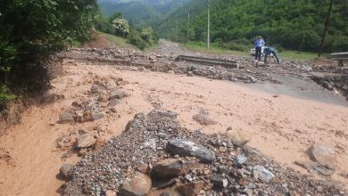 پیکر سومین مفقودی سیلاب محور کندوان چالوس پیدا شد