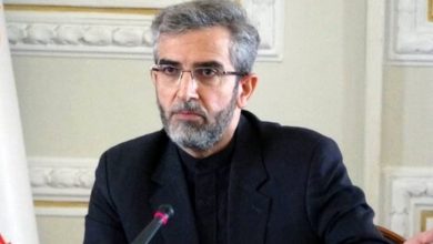 باقری به سران نهادهای بینالمللی درباره ترور شهید هنیه نامه نوشت: مصمم به اتخاذ هرگونه اقدام لازم در جهت دفاع از امنیت ملی و حاکمیت خود علیه متجاوزان خواهیم بود