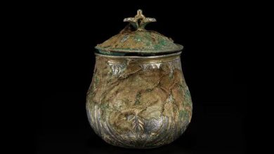 سرنخی از ایران در گنجینه وایکینگها!