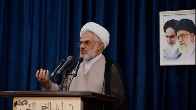 انتقاد یک امام جمعه از خانمهای شاغل