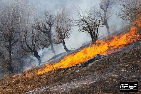 عامل انسانی علت آتش سوزی جنگل های تالش! آتش سوزی ۵ هزار مترمربع از جنگل های تالش مهار شد