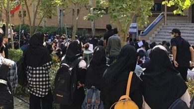 رئیس سازمان امور دانشجویان: حدود ۱۴۰ الی ۱۵۰ پرونده به دست ما رسید که بررسی کردیم؛ پروندهها دارای ایرادات شکلی و ماهوی بود