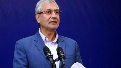 واکنش ربیعی به شایعه استعفای پزشکیان: سرنخ اولیه از سوی گروههای خارجنشین منتشر شده؛ متاسفم که مخالفان کینهای دولت چقدر با سرعت با این افراد همسو میشوند