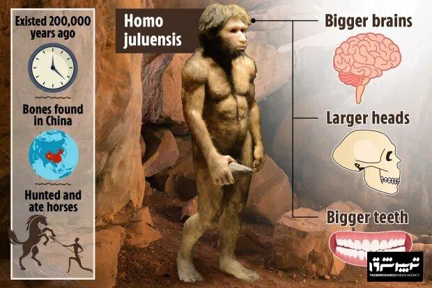 کشف یک گونه انسانی جدید در چین | عکس