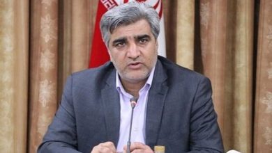 مدیرعامل سازمان تأمین اجتماعی تاکید کرد: لزوم بررسی الکترونیکی دفاتر تامیناجتماعی