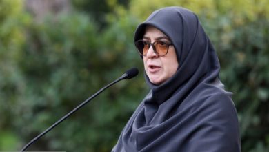 واکنش سخنگوی دولت به اظهارات توهینآمیز علیه رئیسجمهوری
