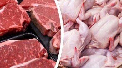 کاهش قیمت مرغ طی روزهای گذشته/تاکید مسوولان بر جلوگیری از افزایش غیر متعارف قیمتها