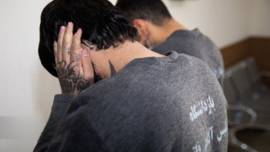 دادسرای جنایی: متهمان قتل دانشجوی دانشگاه تهران دستگیر شدند / در تحقیقات اولیه مشخص شد آنها با انگیزه سرقت مرتکب قتل شدهاند