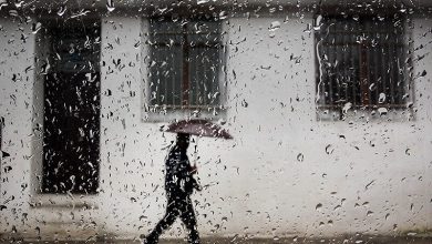 پیشبینی سازمان مدیریت بحران از وضعیت جوی نوروز ۱۴۰۴: شرایط بارش نرمال است