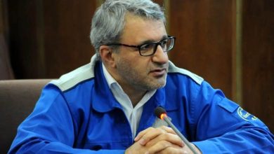 عادل پیرمحمدی مدیرعامل ایران خودرو شد