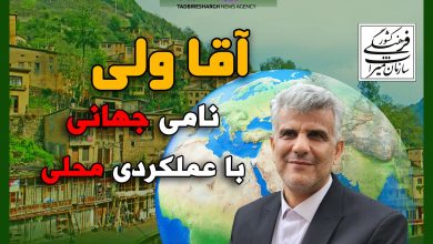 آقا ولی؛ نامی جهانی، با عملکردی محلی