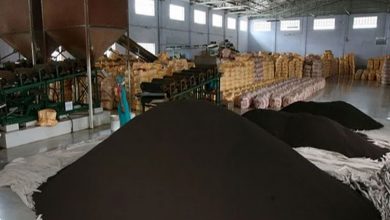 کشف یک انبار چای قاچاق در لاهیجان