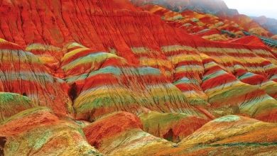 درباره یک خاکسپاری