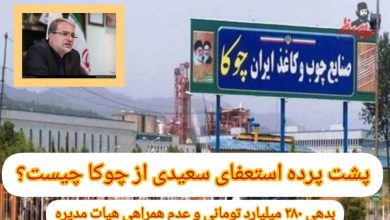  بدهی 280 میلیارد تومانی و عدم همراهی هیات مدیره؛ پشت پرده استعفای سعیدی از چوکا چیست ؟