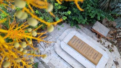 معرکه پیاده راه رشت این بار بقعهسازی؛ ابوجعفر از تجارت تا مروج اهل تسنن