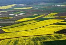 استاندار گیلان: زمین‌ها را برای ویلاسازی نمی‌دهیم