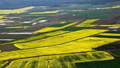 استاندار گیلان: زمینها را برای ویلاسازی نمیدهیم