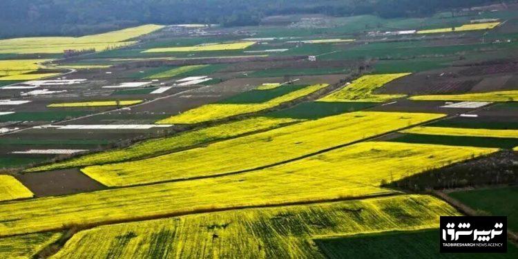 استاندار گیلان: زمین‌ها را برای ویلاسازی نمی‌دهیم