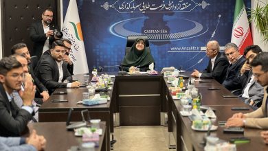 نشست صمیمانه ستاد امید دکتر پزشکیان در گیلان با سخنگوی دولت