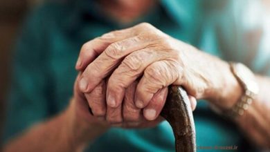 رئیس سازمان بهزیستی: باشگاه فرهنگی اجتماعی سالمندان راهاندازی میشود