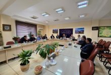 فرماندار لاهیجان در جلسه هماهنگی برگزاری جشنواره چای لاهیجان: چای میراث ماندگار و هویت بخش لاهیجان است | ایجاد خیابان چای باید در دستور کار قرار گیرد