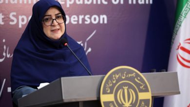 پوتین به تهران سفر می‌کند/ سخنگوی دولت: در حال فراهم کردن مقدمات این سفر هستیم