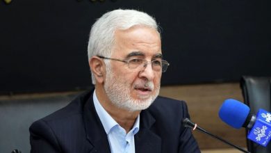 دستور وزیر کشور برای بررسی وضعیت حمل و نقل عمومی غیررسمی و اینترنتی در پی قتل الهه حسین نژاد
