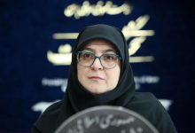 سخنگوی دولت: توجه دولت بر این است که اتباع غیرمجاز را به کشورشان برگرداند