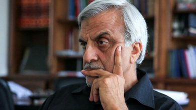 طعنه سنگین هاشمی طبا: بیرانوند به زودی استاد دانشگاه هم می شود