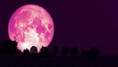 ماه صورتی خرداد ماه را از دست ندهید