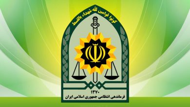 انهدام ۱۴ پهپاد و بیش از ۳۰ ریزپرندهِ رژیم صهیونیستی با هوشیاری مرزبانان فراجا