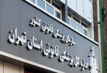 روابط عمومی سازمان پزشکی قانونی کشور: معاینات تخصصی درباره «الهه حسین نژاد» در حال انجام است