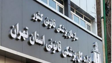 روابط عمومی سازمان پزشکی قانونی کشور: معاینات تخصصی درباره «الهه حسین نژاد» در حال انجام است