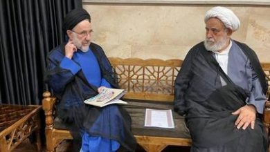 به خاطر حضور دکتر پزشکیان در مجلس عزاداری ام، به من فحاشی کردند