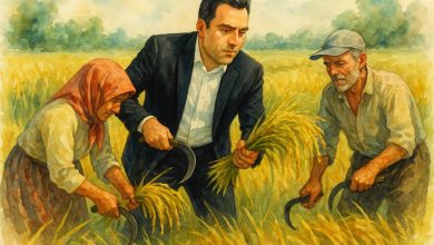 استمداد رییس ستاد انتخاباتی دکتر پزشکیان در گیلان از رییسجمهور: برای نجات شالیکاران از ورطه نابودی کاری بکنید