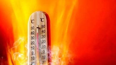 هواشناسی: افزایش دمای هوا در بیشتر مناطق کشور طی روزهای آینده