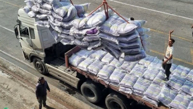 ادامه اعتراضات نمایندگان شمالی در پی لغو ممنوعیت واردات برنج