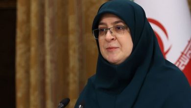 مهاجرانی: دولت از اولین دقایق جنگ کارش را شروع کرد