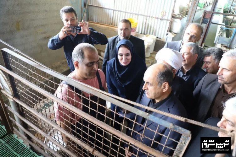 استاندار گیلان در جریان بازدید از پروژه دامداری مولد در چابکسر تاکید کرد؛ لزوم حمایت از واحدهای تولیدی و دامداری های دانش محور برای رونق اقتصادی منطقه