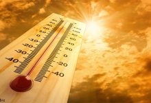 گیلان همچنان در تب تابستان