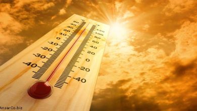 گیلان همچنان در تب تابستان