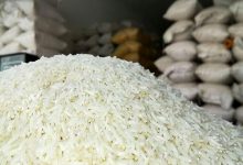 درخواست رییس سازمان جهاد کشاورزی استان گیلان از رییس جمهور : واردات برنج را ممنوع کنید