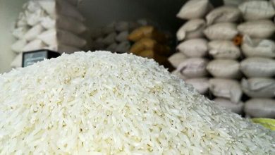 درخواست رییس سازمان جهاد کشاورزی استان گیلان از رییس جمهور : واردات برنج را ممنوع کنید