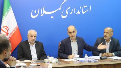 استاندار در دیدار با اعضای مجمع نمایندگان گیلان: مطالبات چایکاران برای نخستین‌بار به‌طور کامل پرداخت شد