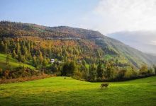 دمای گیلان افزایش می‌یابد